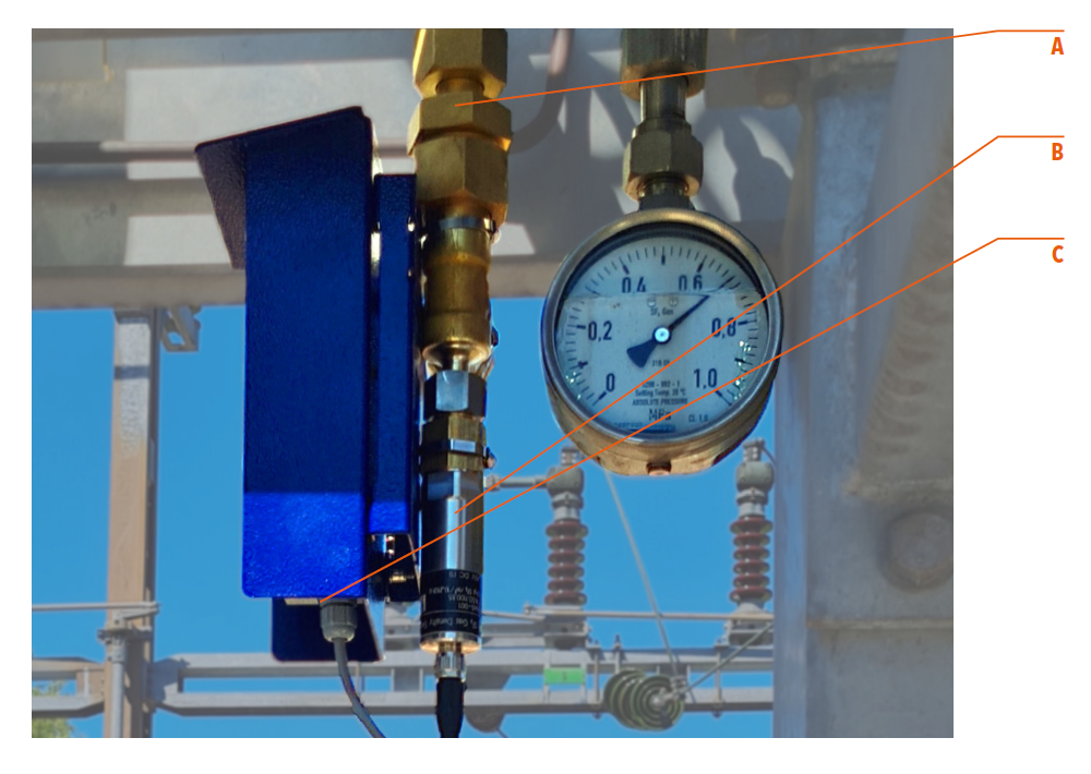 Functional principle of Trafag’s gas density sensor