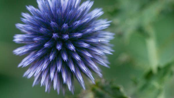Environmental page – Sustainability at Trafag