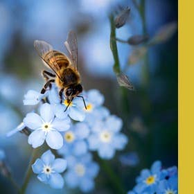 Social – Sustainability